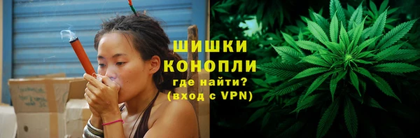 трава Медвежьегорск
