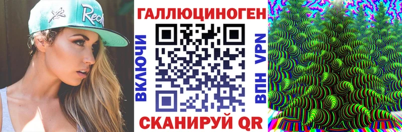 хочу   Тетюши  Галлюциногенные грибы Psilocybine cubensis 